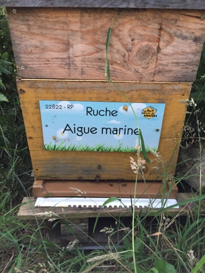 La ruche Aigue marine